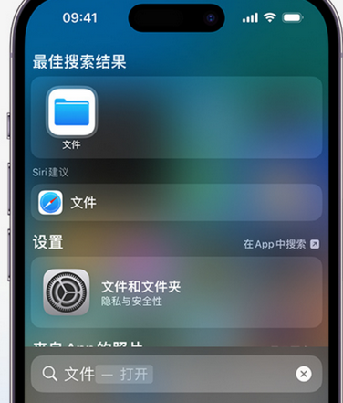 黄骅apple维修中心分享iPhone文件应用中存储和找到下载文件 