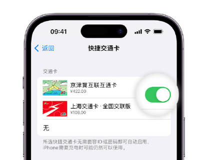 黄骅apple维修点分享iPhone上更换Apple Pay快捷交通卡手绘卡面 