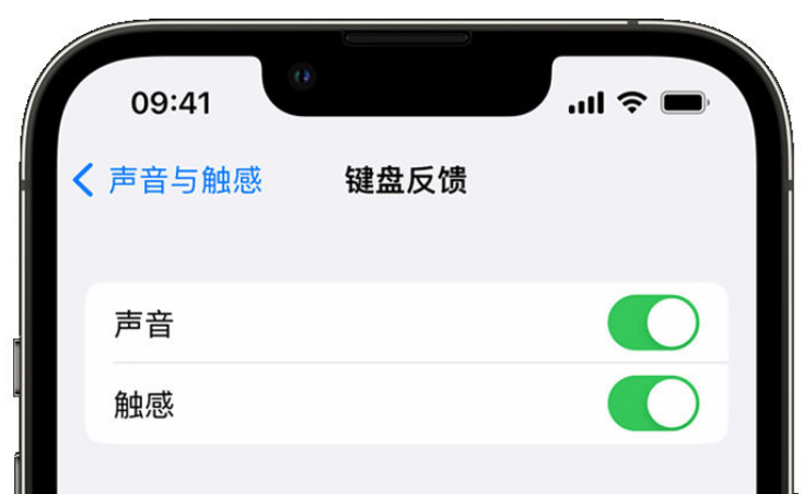 黄骅苹果手机维修分享iPhone 14触感键盘使用方法 