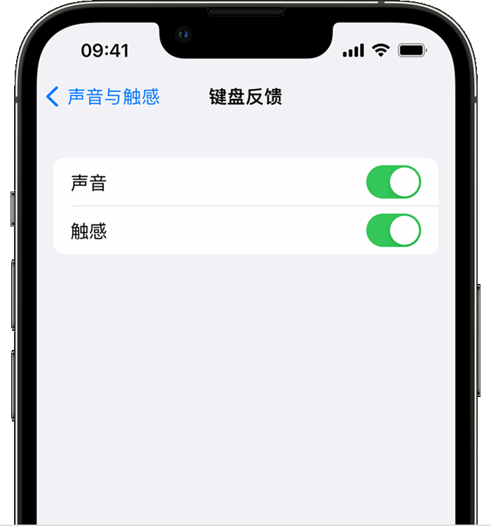 黄骅苹果14维修店分享如何在 iPhone 14 机型中使用触感键盘 