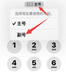 黄骅苹果14维修店分享iPhone 14 Pro Max使用副卡打电话的方法 