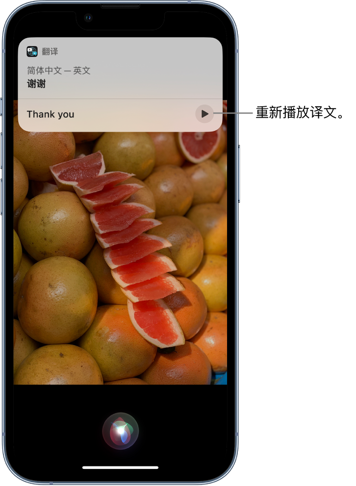 黄骅苹果14维修分享 iPhone 14 机型中使用 Siri：了解 Siri 能帮你做什么 