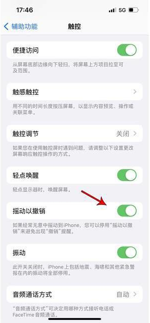 黄骅苹果手机维修分享iPhone手机如何设置摇一摇删除文字 